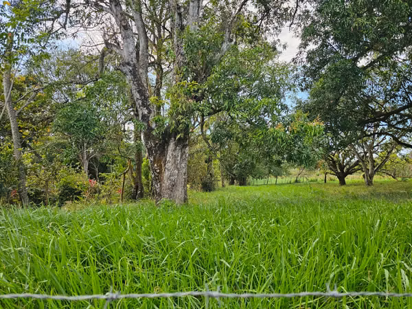 ESPARZA quinta sobre calle principal frente a … hermoso lote plano