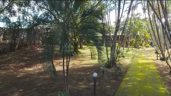 Oportunidad de Inversión y Desarrollo Estratégico – Barrio San José de Alajuela