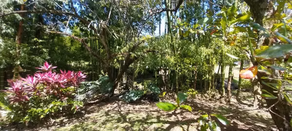 QUINTA TURRUCARES al 30% VALOR DE AVALUO -8740 m2 T, 600 M2 C-Piscina - $ 400 mil dls.