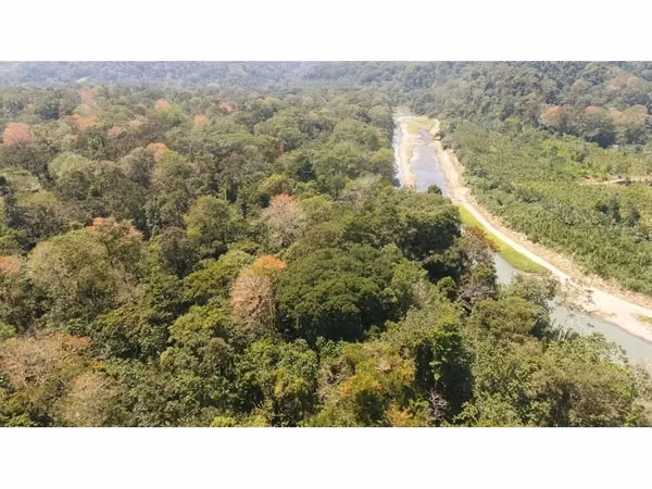 Vendo Finca Nanabri, Limón
