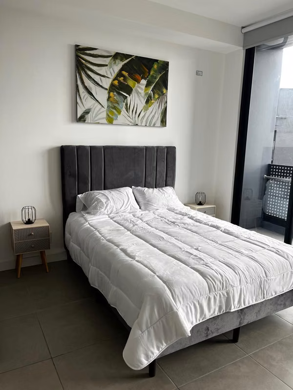 New, Beautiful and Fully Furnished Apartment - Ready to Generate Income from Day One