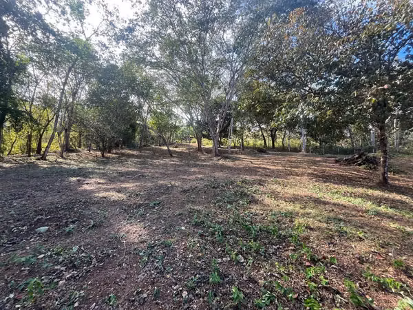 Quinta en Venta