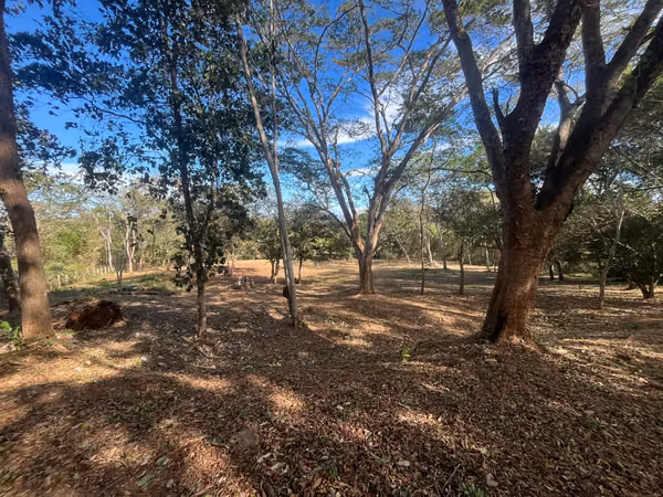 Quinta en Venta