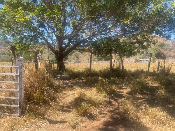 Hermosa finca de 17 ha ubicada en la zona de Los Angeles de Guacimal de Puntarenas