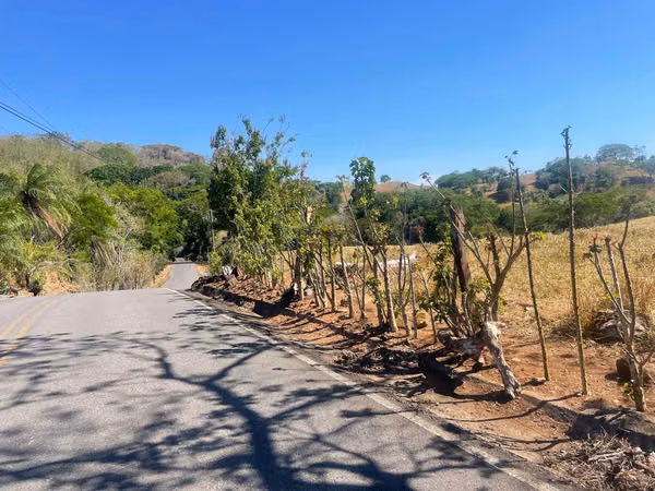 Hermosa finca de 17 ha ubicada en la zona de Los Angeles de Guacimal de Puntarenas