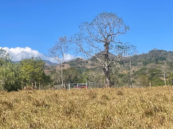 Hermosa finca de 17 ha ubicada en la zona de Los Angeles de Guacimal de Puntarenas