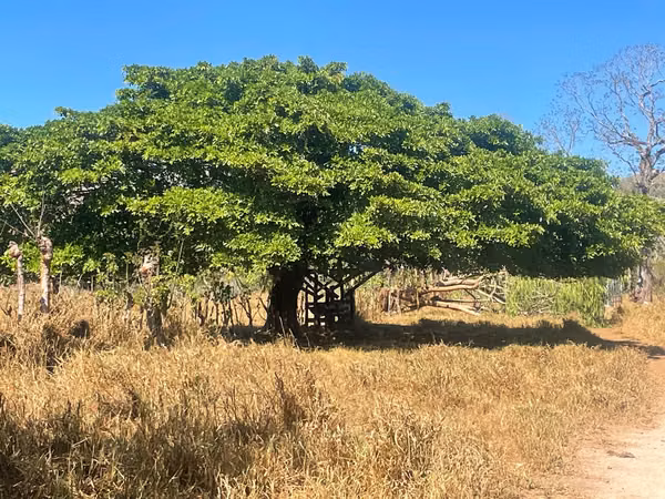 Hermosa finca de 17 ha ubicada en la zona de Los Angeles de Guacimal de Puntarenas
