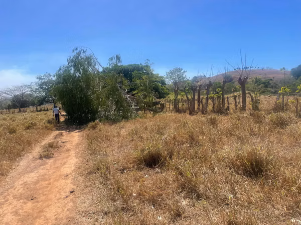Hermosa finca de 17 ha ubicada en la zona de Los Angeles de Guacimal de Puntarenas