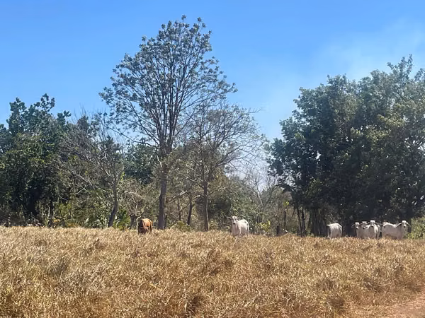Hermosa finca de 17 ha ubicada en la zona de Los Angeles de Guacimal de Puntarenas