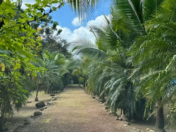 Sarapiqui Venta de Finca vacacional-ESPECTACULAR