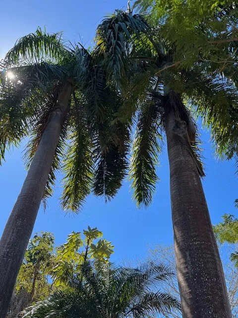 Preciosa Quinta para vacacionar o vivir zona Jesus Maria/Labrador 5050m2