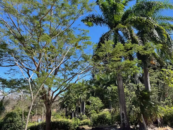 Preciosa Quinta para vacacionar o vivir zona Jesus Maria/Labrador 5050m2