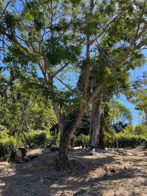 Preciosa Quinta para vacacionar o vivir zona Jesus Maria/Labrador 5050m2