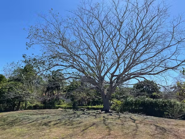 Preciosa Quinta para vacacionar o vivir zona Jesus Maria/Labrador 5050m2