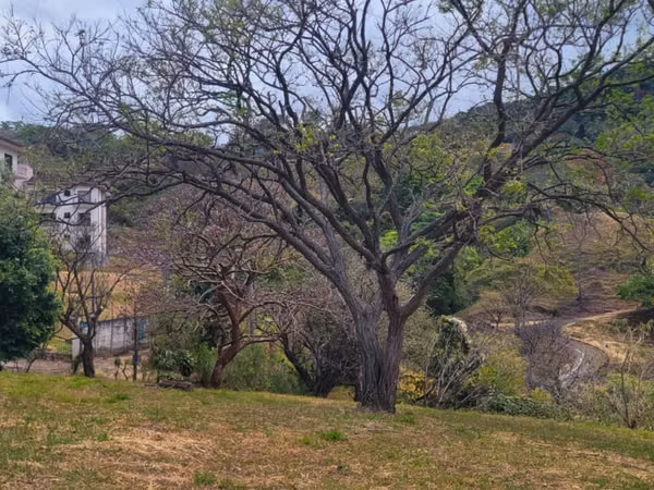 Terreno para desarrollo en Altos de Las Palomas, Santa Ana