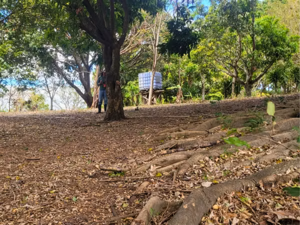 Terreno para desarrollo en Altos de Las Palomas, Santa Ana