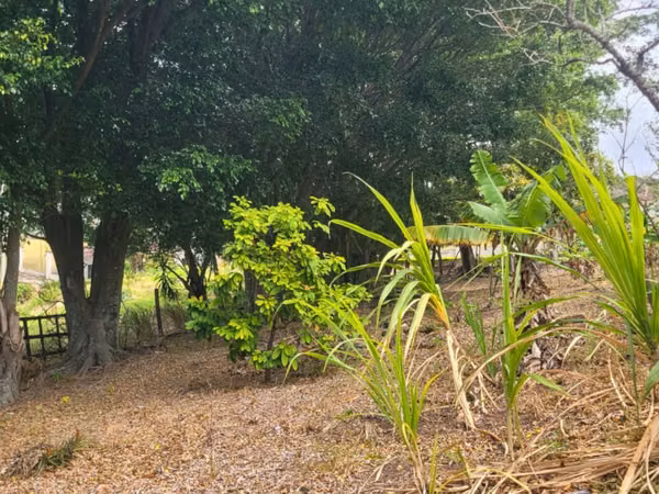 Terreno para desarrollo en Altos de Las Palomas, Santa Ana