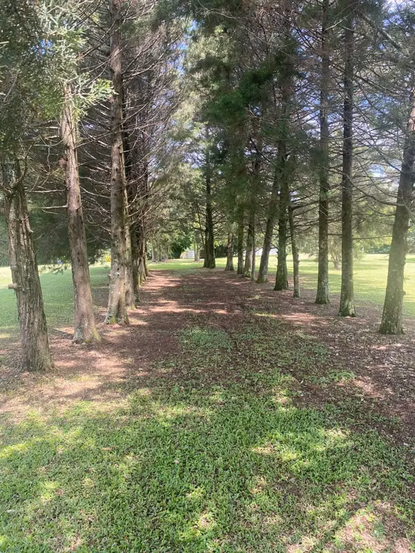 Venta de terreno para desarrollo en Heredia, Flores.