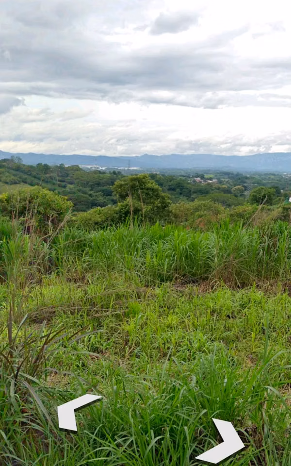 Finca en Tacares de Grecia con Uso de Suelo Residencial Alta Densidad
