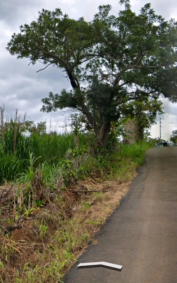 Finca en Tacares de Grecia con Uso de Suelo Residencial Alta Densidad