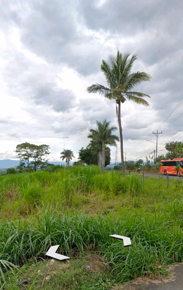 Finca en Tacares de Grecia con Uso de Suelo Residencial Alta Densidad
