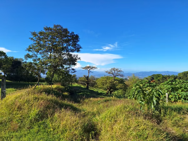 Lote 3.000 m² en Poás de Alajuela