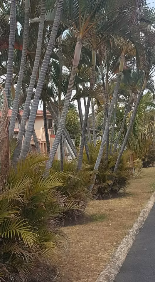 Alquiler de apartamento en Guachipelín de Escazú, Residencial Pinar del Rio
