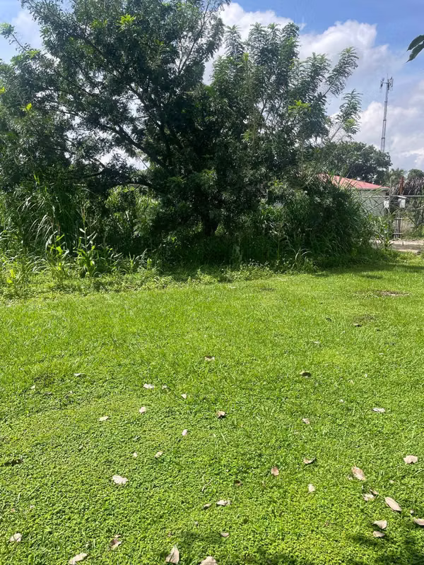 VENDO LOTE SAN LORENZO FLORES