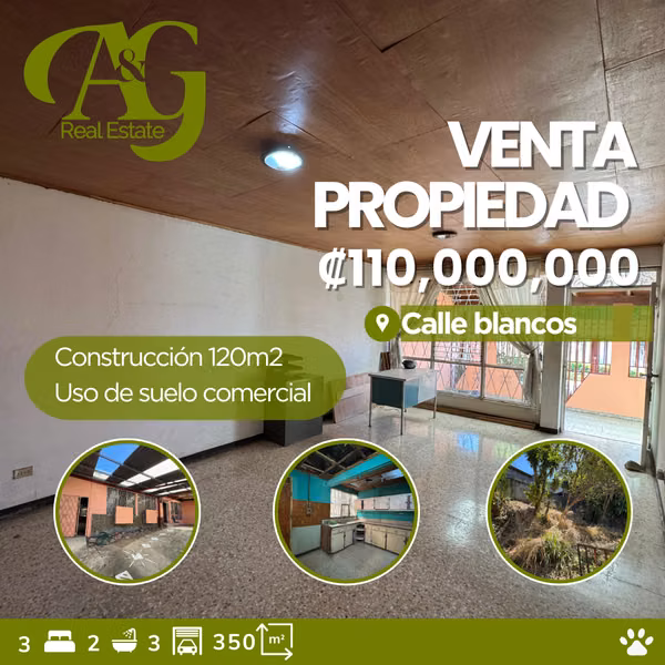 Venta Propiedad Calle Blancos. VGO429