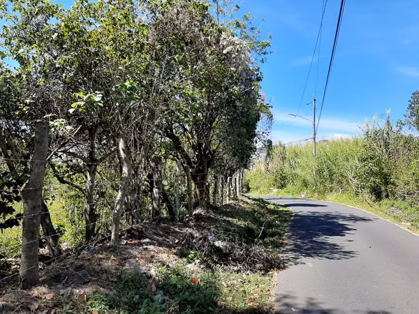VENDO FINCA ALTA DENSIDAD EN BARVA DE HEREDIA.