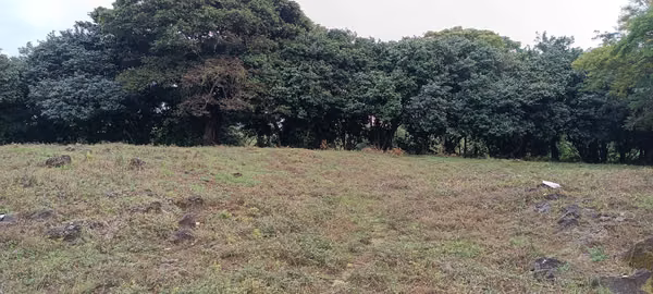 VENDO FINCA ALTA DENSIDAD EN BARVA DE HEREDIA.