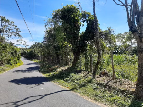 VENDO FINCA ALTA DENSIDAD EN BARVA DE HEREDIA.