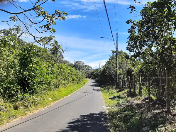 VENDO FINCA ALTA DENSIDAD EN BARVA DE HEREDIA.