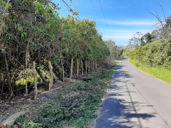 VENDO FINCA ALTA DENSIDAD EN BARVA DE HEREDIA.