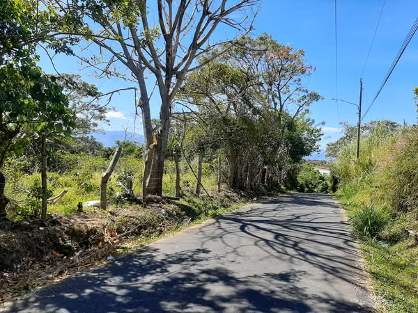I SELL HIGH DENSITY ESTATE IN A BEAD OF HEREDIA.