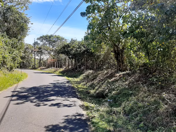 VENDO FINCA ALTA DENSIDAD EN BARVA DE HEREDIA.