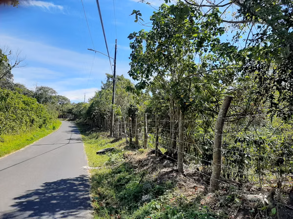 VENDO FINCA ALTA DENSIDAD EN BARVA DE HEREDIA.
