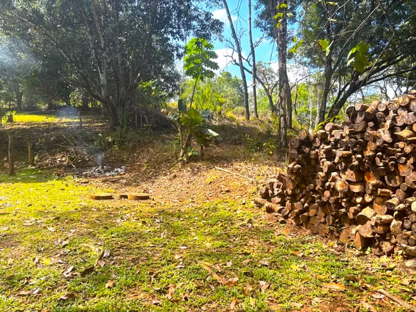 Casa con Amplio Terreno en San Juan de Mata | Ideal para Remodelar ( MO 1373)