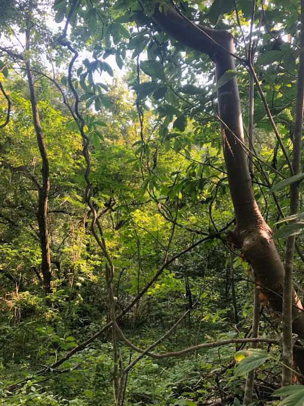 Land in San Rafael de Esparza, Puntarenas