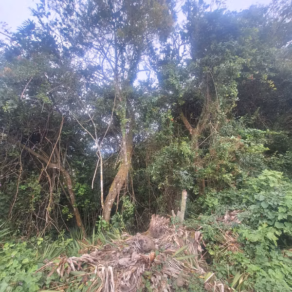 Venta de propiedad para desarrollo en San Antonio de Escazú RH