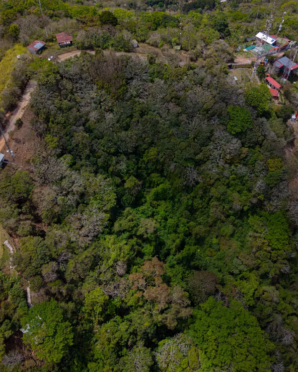 Venta de propiedad para desarrollo en San Antonio de Escazú RH