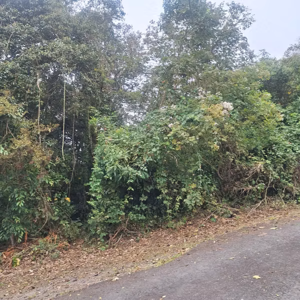 Venta de propiedad para desarrollo en San Antonio de Escazú RH