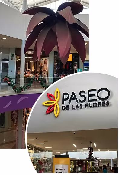 Local Comercial II Paseo De Las Flores
