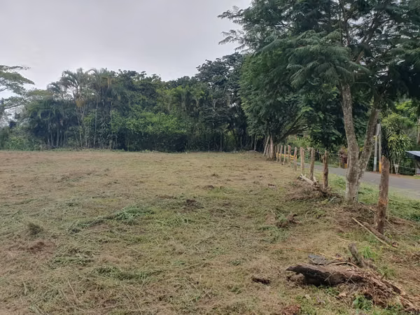 Farms for sale in Santiago de San Ramón, Alajuela