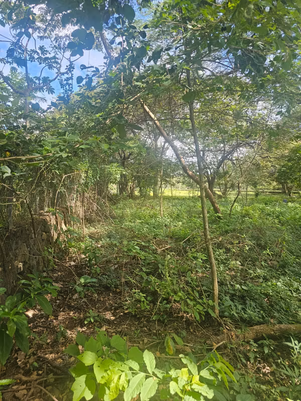 Venta lote en barrio La Cruz, Liberia