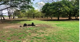 Se Vende Lote en Liberia frente a Interamericana, Guanacaste, Costa Rica