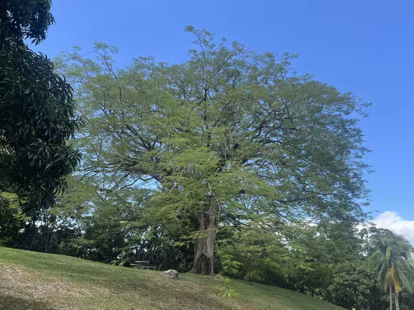Se Vende Quinta en La Garita, Alajuela, Costa Rica
