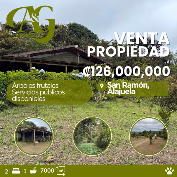 Venta Quinta San Ramón, Alajuela. VASRJ159