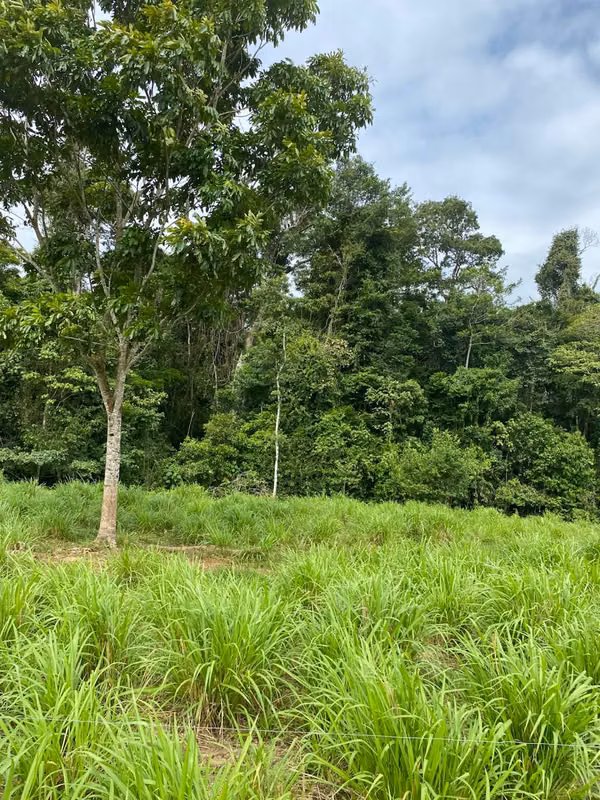 Finca 96 Has con río, nacientes, pozo, laguna, repastos y bosque en Cutris Sn Carlos