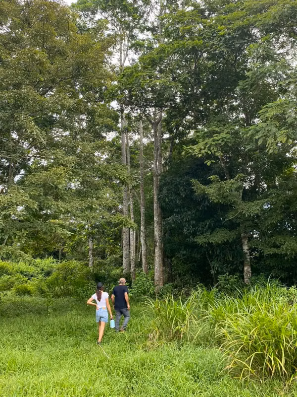 Finca 96 Has con río, nacientes, pozo, laguna, repastos y bosque en Cutris Sn Carlos
